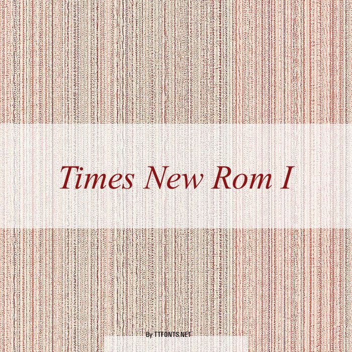 Times New Rom I example